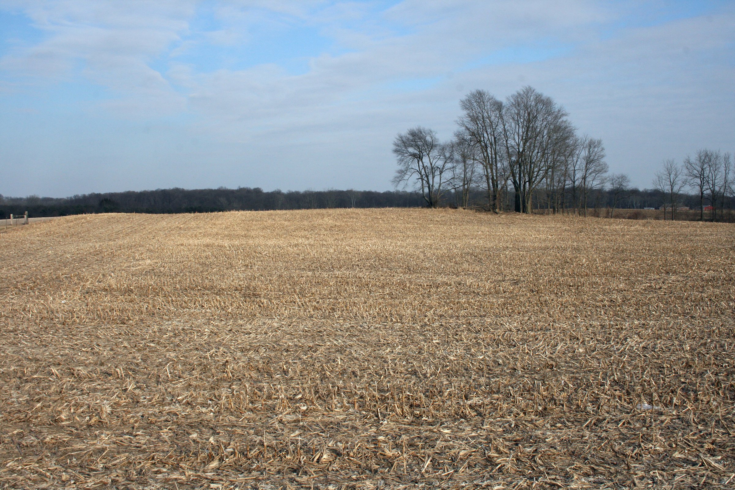 Tract 1 - REAL ESTATE AUCTION - 84.5+/- ACRES IN 4 TRACTS IN WHITLEY COUNTY, INDIANA
